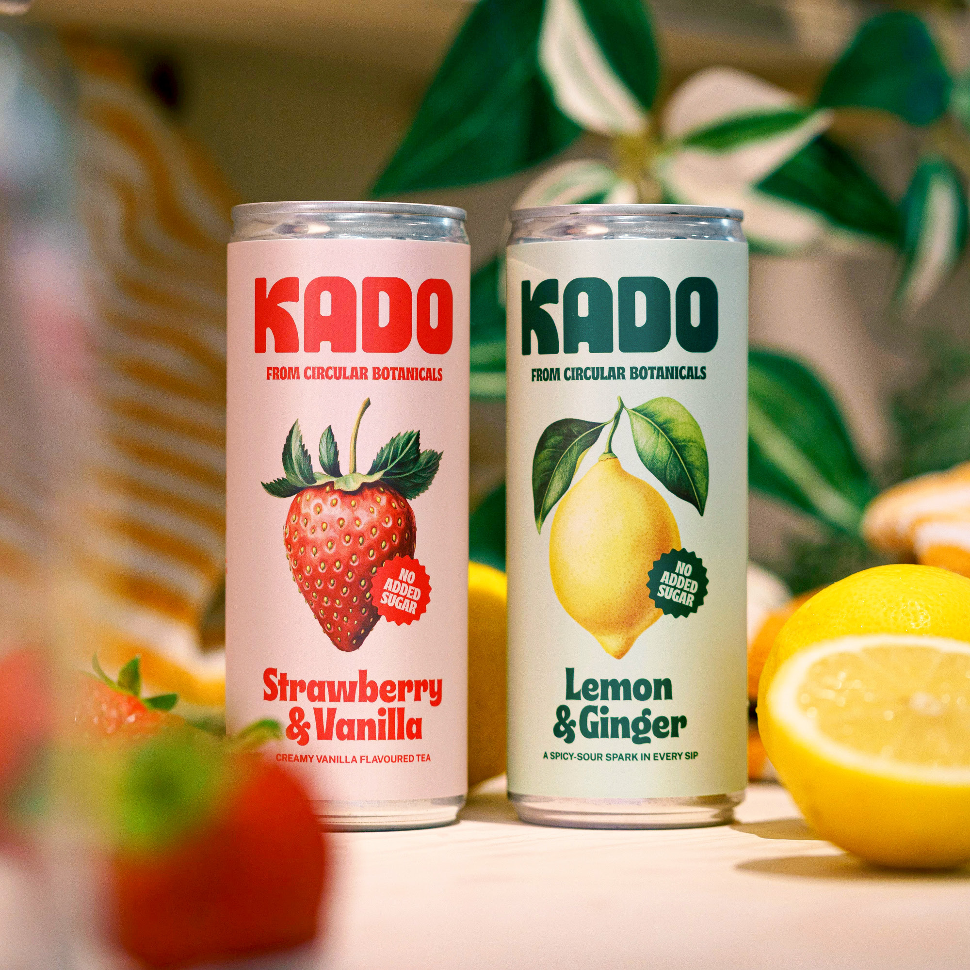 Kado-Kolossal-Cans-01