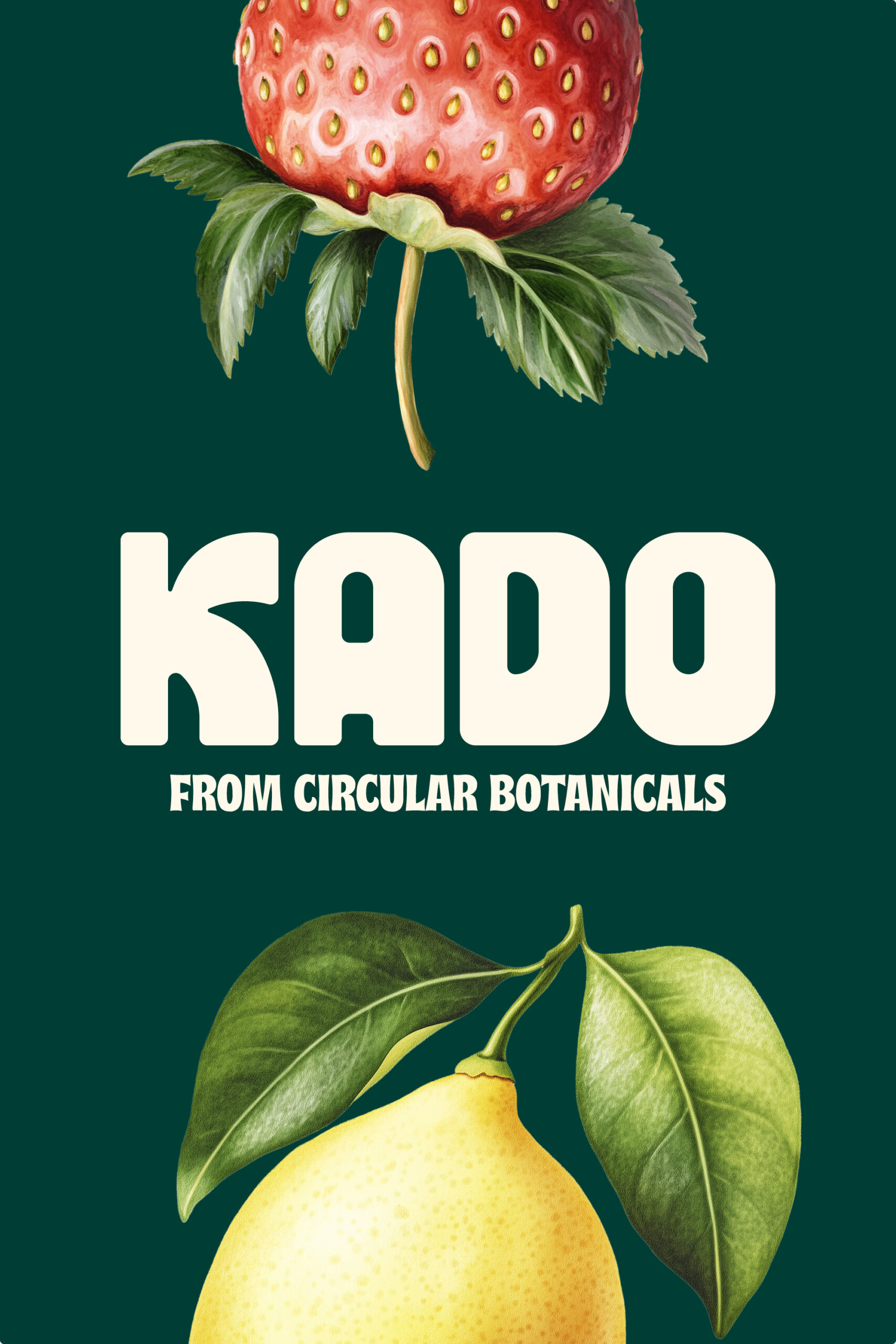 Kado-Kolossal-Graphic-04