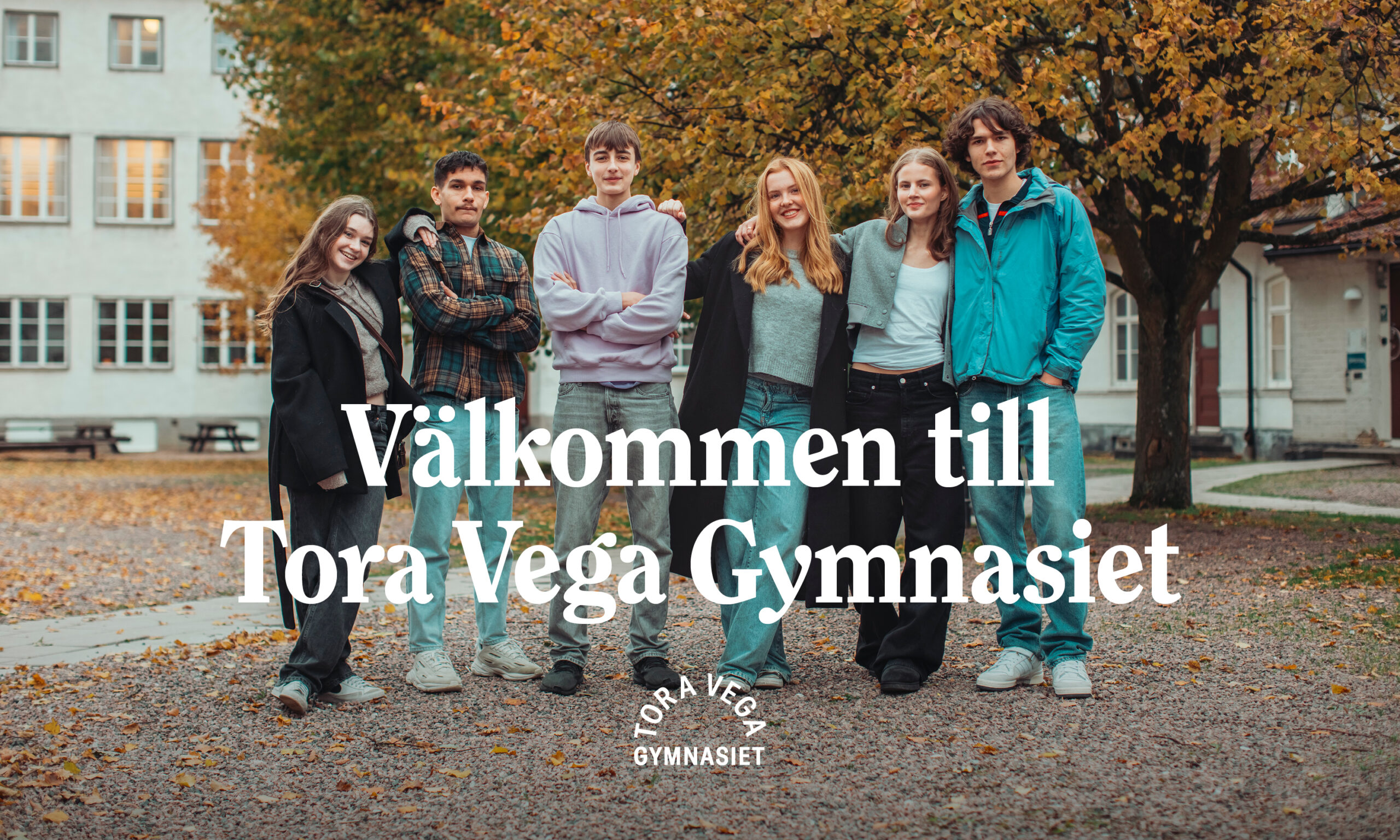 Tora-Vega-Gymnasium-Kolossal-8